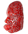 Evil Eyes Wall Sculpture Art | Courage Red Face Sculpture | 3D Face on White Canvas | Epoxy Resin Art | Home Décor for Protection and Strength - Couture Underground, LLC