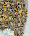 Bee-st Mode Honey Bee Wall | Contemporary Epoxy Resin Sculpture - Couture Underground, LLC