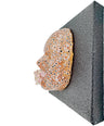 Contentment in Friendship | Contemporary Epoxy Resin Sculpture - Couture Underground, LLC