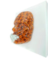 Free Throw | Contemporary Epoxy Resin Sculpture - Couture Underground, LLC
