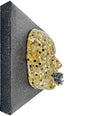 The Seeker | Contemporary Epoxy Resin Sculpture - Couture Underground, LLC