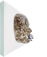 The Strategist | Contemporary Epoxy Resin Sculpture - Couture Underground, LLC